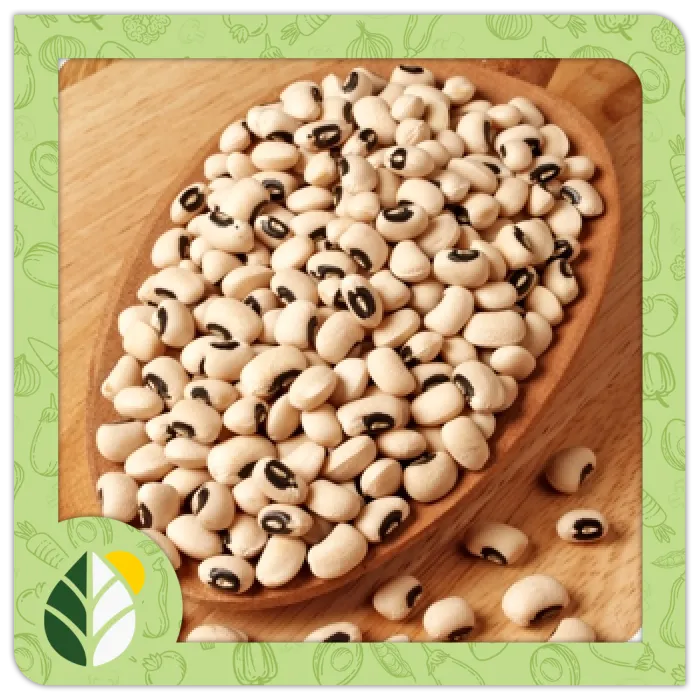 Legumes-Alshifaa-Sources-11