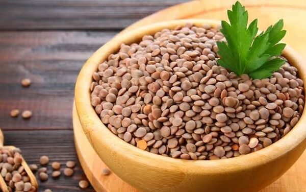 عدس بجبه تركي